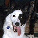 Kern was adopted in September, 2005